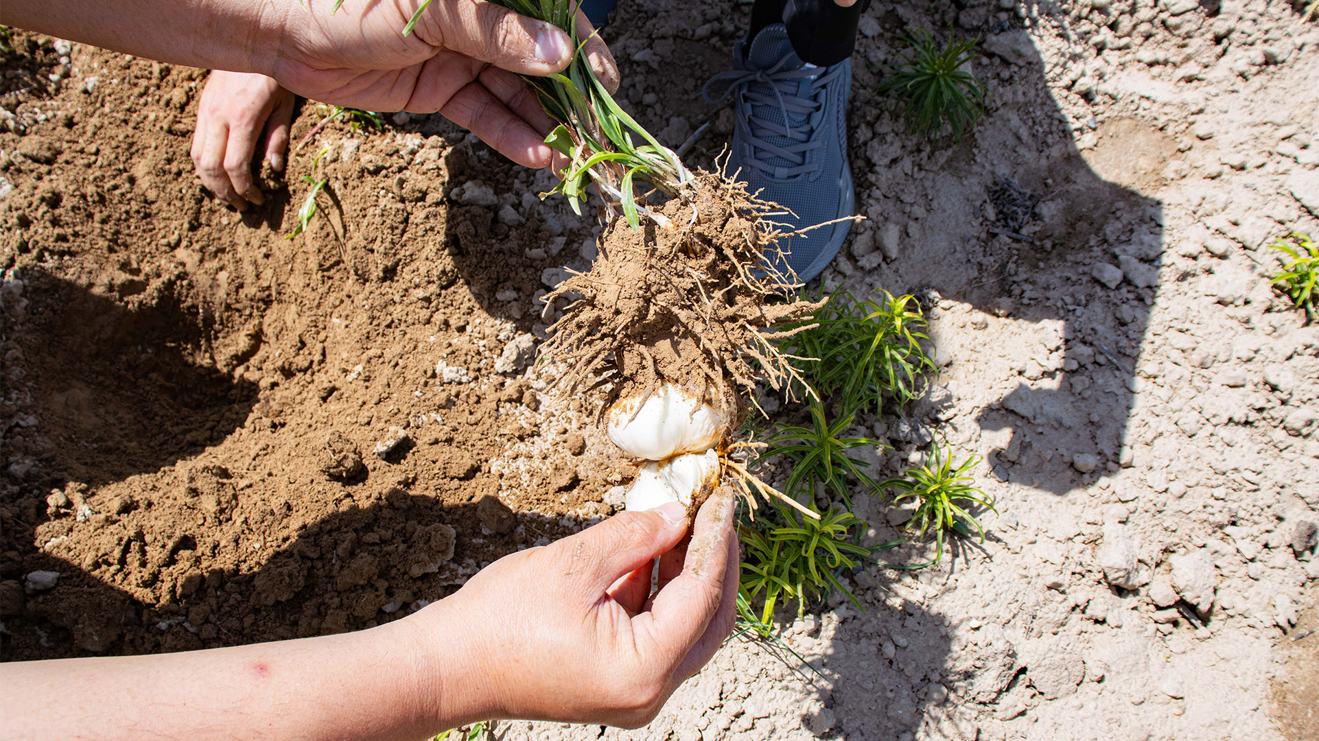 基地(dì)實拍(pāi)